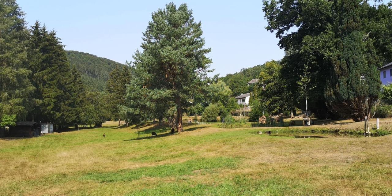 Ferienhaus Kylltal Villa Zemmer Exterior photo